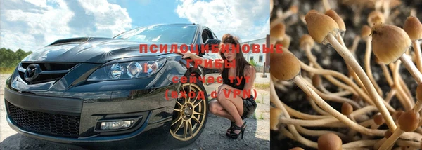 мет Алзамай