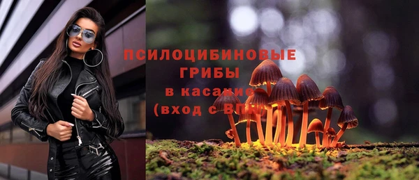 а пвп мука Алексин