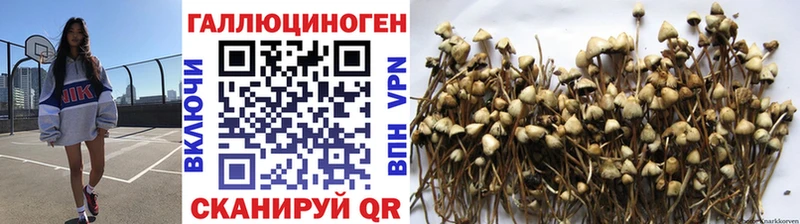 Галлюциногенные грибы мухоморы  Ладушкин 